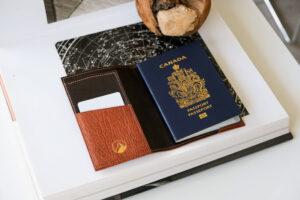 Nicci Passport Holder in Brown Shark Skin